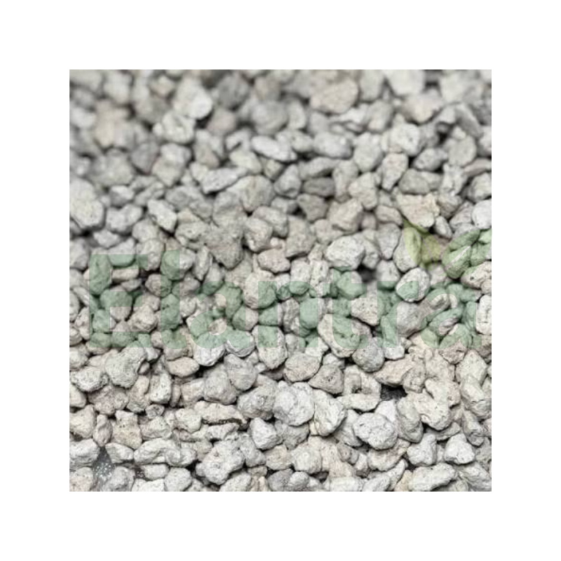 PUMICE STONE
